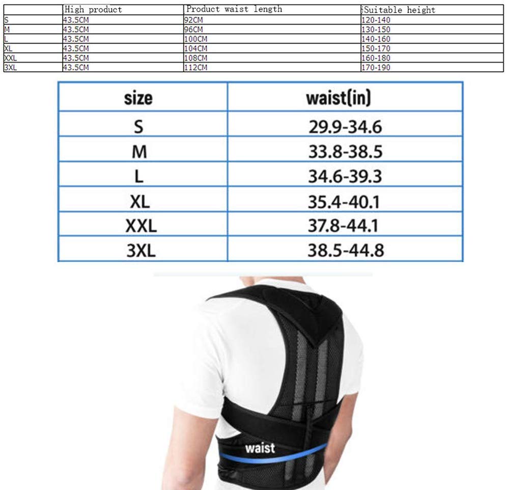 Back Pain Relief Posture Corrector Belt Elite Vibe