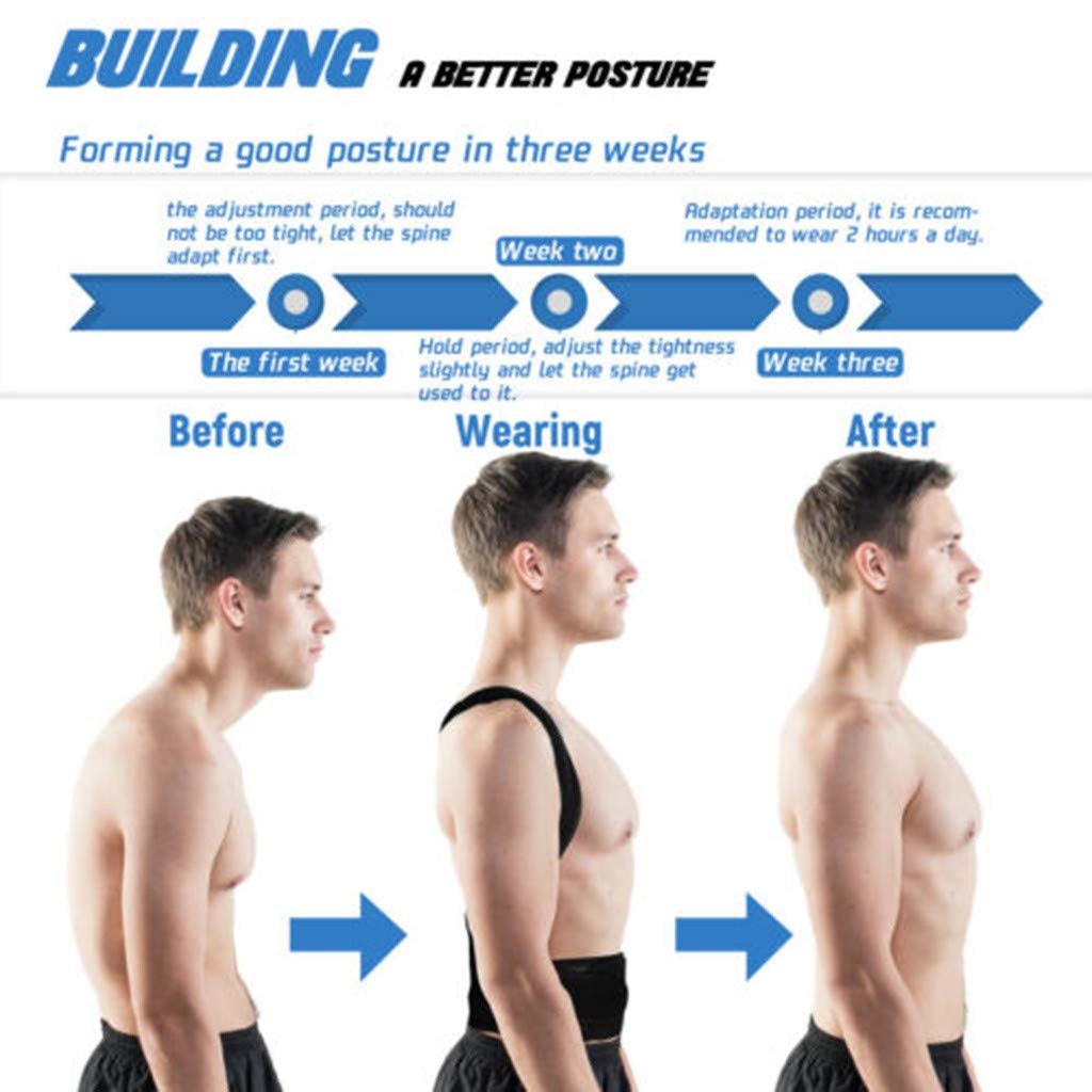 Back Pain Relief Posture Corrector Belt Elite Vibe